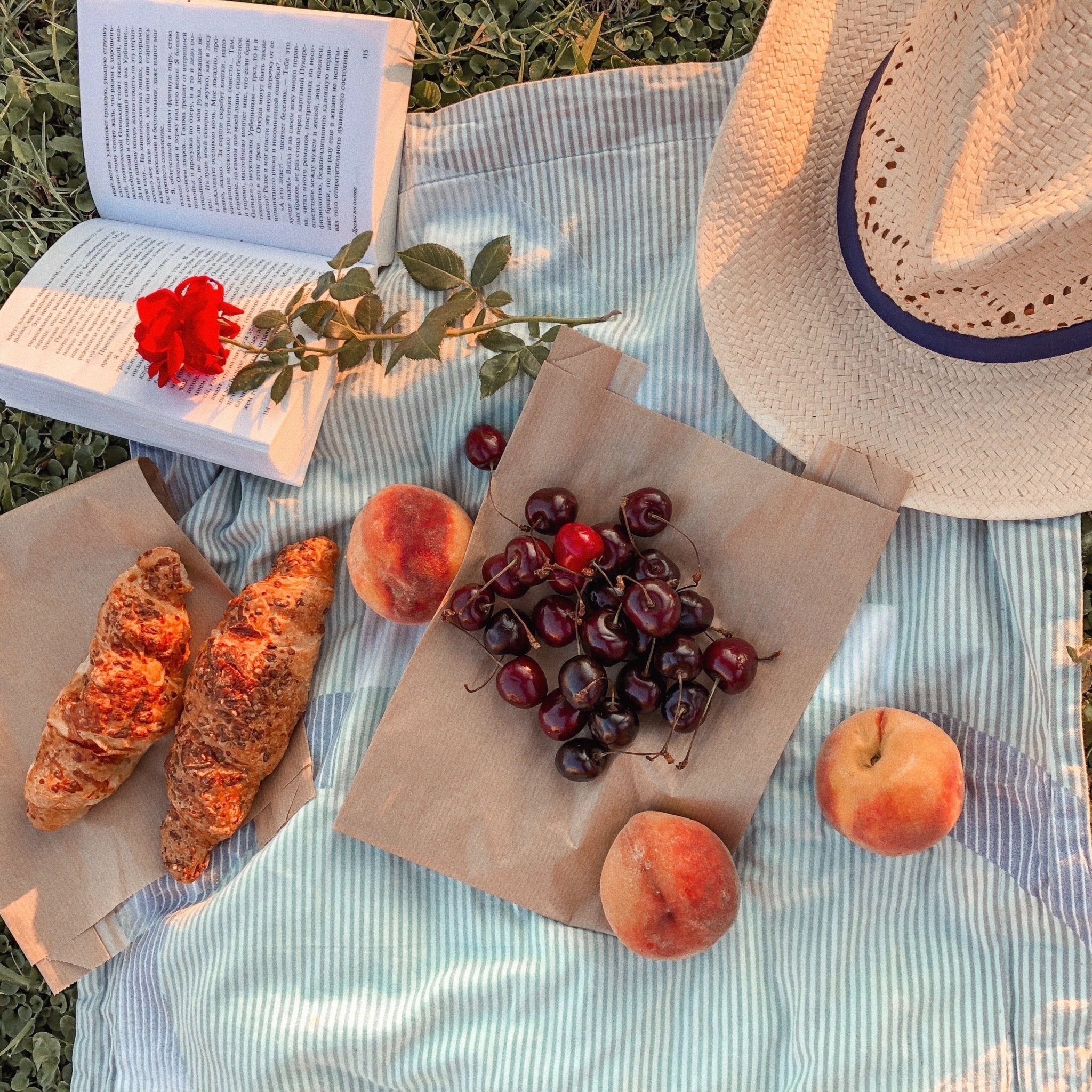 5 No-Fail Picnic Recipes to Make Memories Outdoors (Free Printables) - My Store